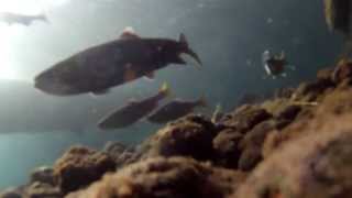 A Summer to Remember: Central Oregon Fly Fishing