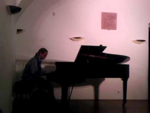 Petr Bazala 17.11.2012 Chodovska tvrz 5