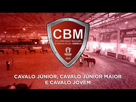 CBM MARCHA PICADA 2022 - CAVALO JÚNIOR - CAVALO JÚNIOR MAIOR E CAVALO JOVEM