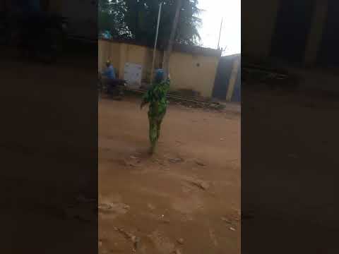 4 PLOTS OF LAND  Off Idimu Road, Ejigbo, Lagos