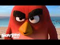 The Angry Birds Movie Meet Red