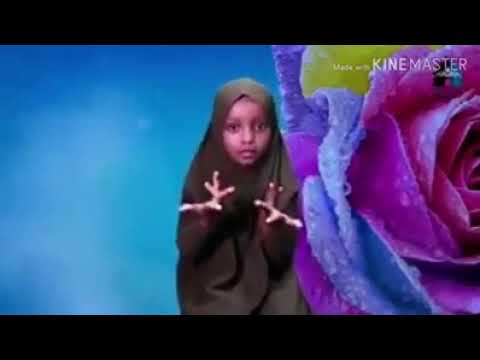 AS WR WB Masha Allaah Nashda baareeduu😍😍😍☝👈