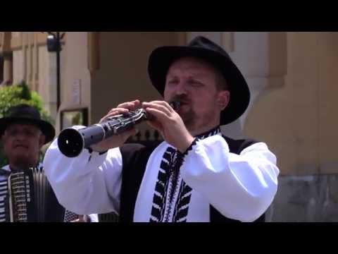 Grupul instrumental ''CRAI NOU'' Alba-Iulia - Codrenesc