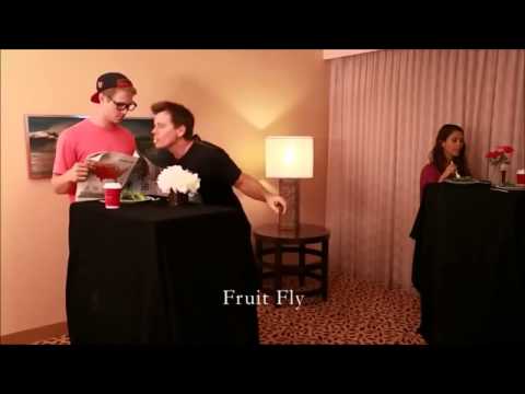 Wie Tiere essen Teil 2