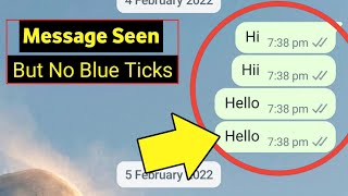 Whatsapp Message Seen But No Blue Ticks | Whatsapp Blue Tick Not Showing