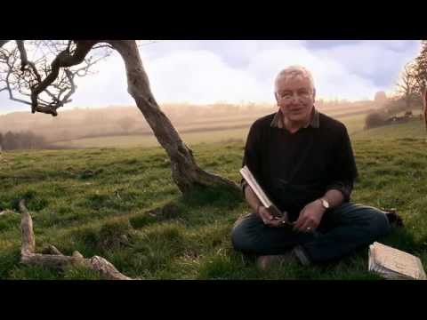 Thumbnail of Martin Taylor - An artist at one with nature Thumbnail of Martin Taylor - An artist at one with nature