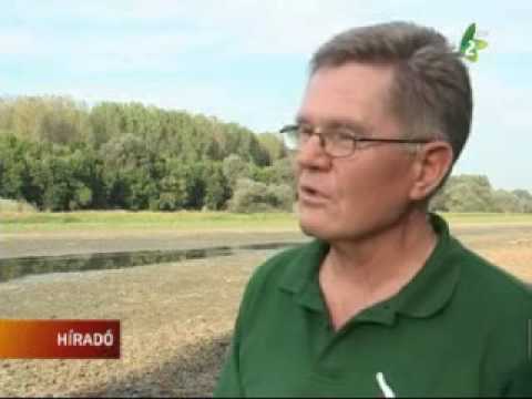 Vissza a természetbe