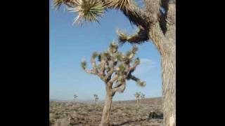 Masters of Reality - Brown House on the Green Road