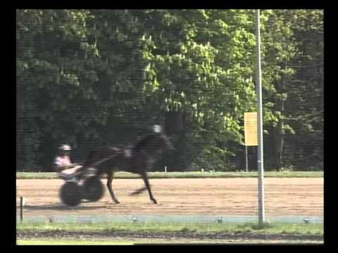 Duindigt's Driejarigen Merrie Stakes 2011 - Lobell Countess