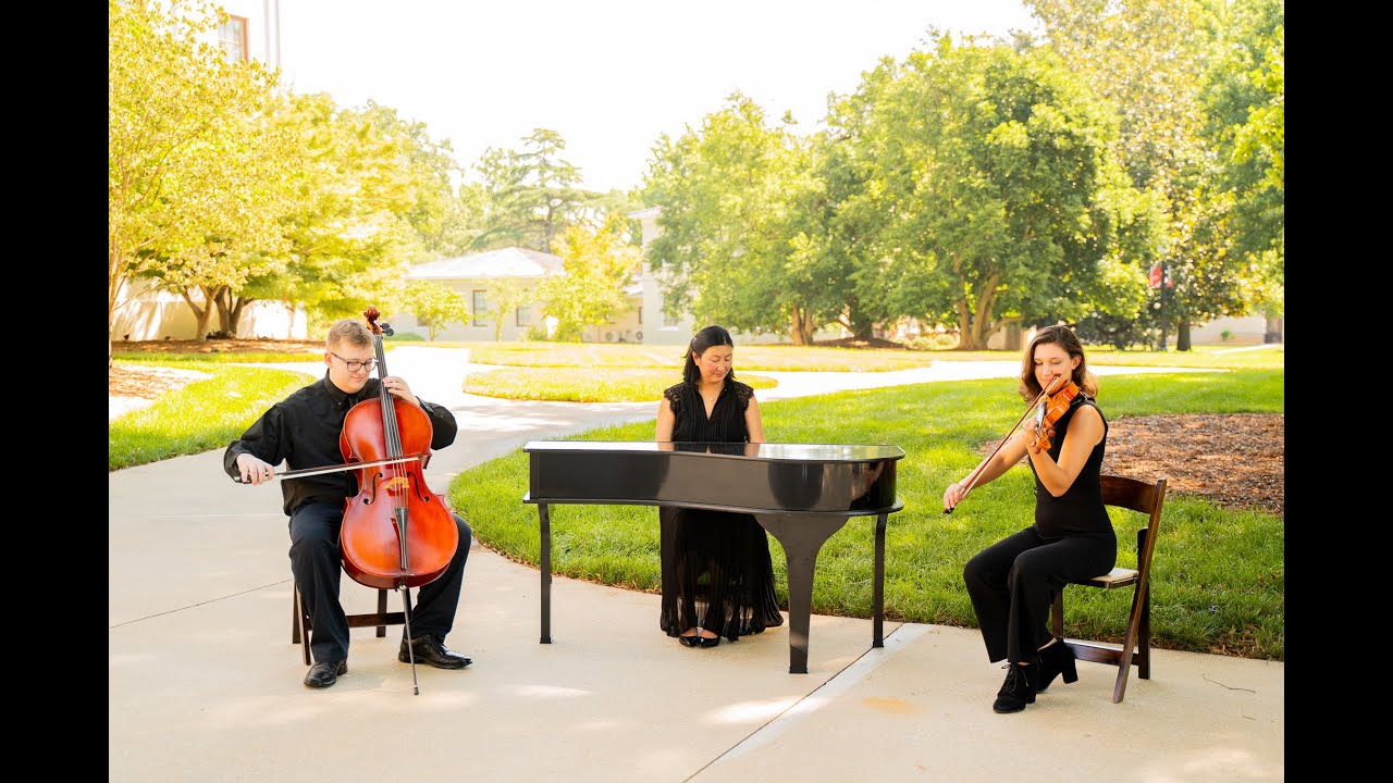 Promotional video thumbnail 17 for Madeleine's Musicians - Solo and Ensemble Music for All Occasions