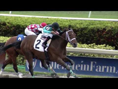 Gulfstream Park Replay Show | March 5, 2017