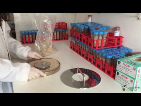 "Analisi rapida delle biomasse con il Buchi NIR-Online" by Laboratorio Biomasse Ancona