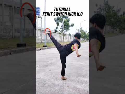 Feint Switch Kick K.O #shortvideo #shorts #selfdefense #martialarts #kickboxing
