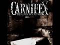 carnifex - hope dies with the decadent 