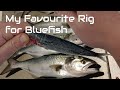 Bluefish Rig Taylor Rig Shad Rig Elf Rig How To Make A Basic Toothy Critter Rig