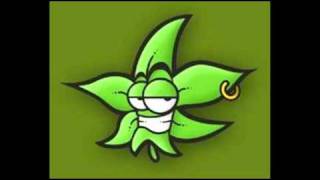 soja-brothers and sisters