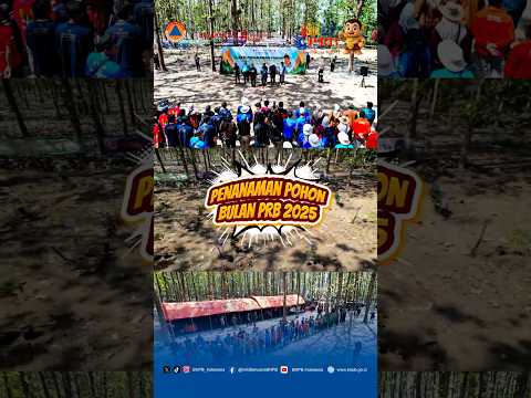 Video 6