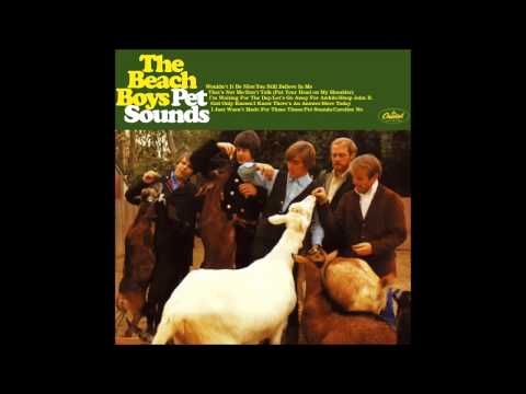 The Beach Boys - Hang On To Your Ego