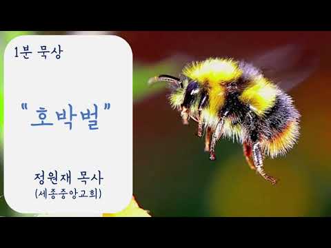 YouTube 영상 썸네일