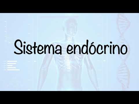 Eixo hipotálamo hipófise (resumo)