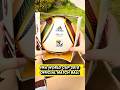 Jabulani FIFA World Cup 2010 Official Match Ball Pro South Africa Adidas Review Unboxing E42040