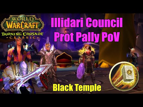 Illidari Council Prot Pally PoV | TBC Classic Phase 3