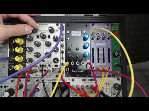 Dervish by gBiz - Eurorack DSP module - Reverbs 1 bank demo