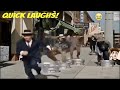 Best Episodes The Three Stooges Full Episodes Three Stooges Full Episodes Moe Comedy Movie