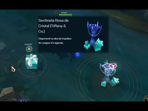 Tiffany & Co 's ward skin