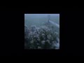 Tv Girl Safe Word Slowed Reverb