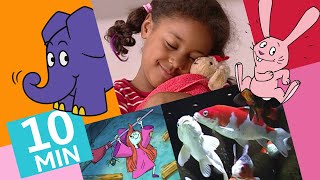 Hallo Elefant - Wie wäscht man ein Kuscheltier & Lied Morgens früh um sechs | Der Elefant | WDR