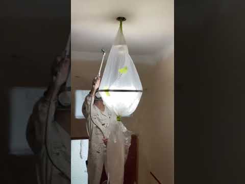 Frog clan painting group video.