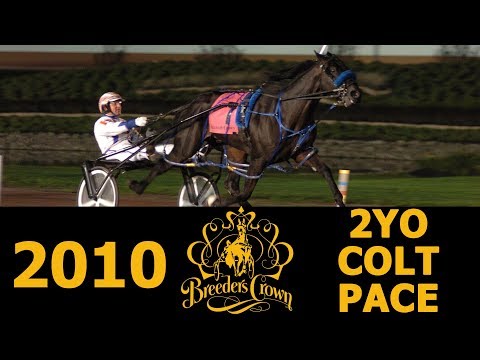 2010 Breeders Crown - Big Jim - 2YO Colt Pace