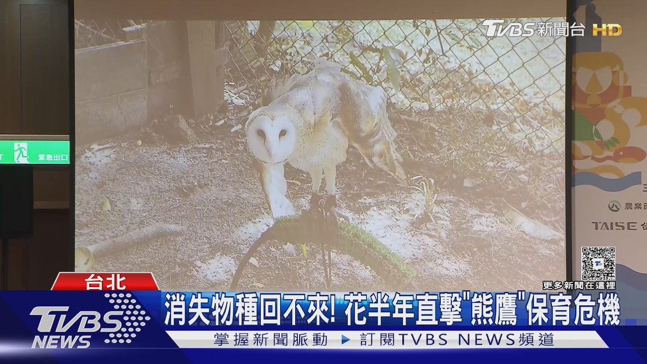 影音／永續品牌深入第一線！耗時6個月直擊熊鷹棲地　揭保育危機