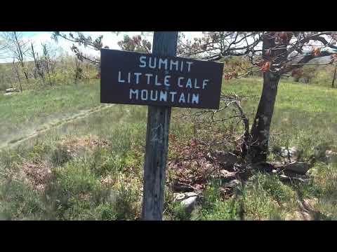 Day 73 Waynesboro to Blackrock Hut on the Appalachian Trail
