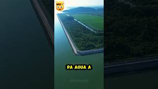 Asi es como China Riega 5500 Km de Árboles en el Desierto 🤯