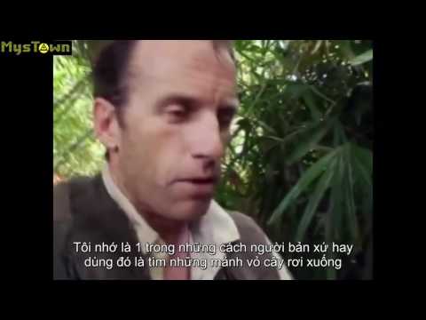 Lost Tapes P2 - Devil Dragon (Rồng ác quỷ) Vietsub