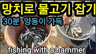 해머 망치로 고기잡이 30분 만에 한 양동이! 오함마 빵치기 fishing with a hammer