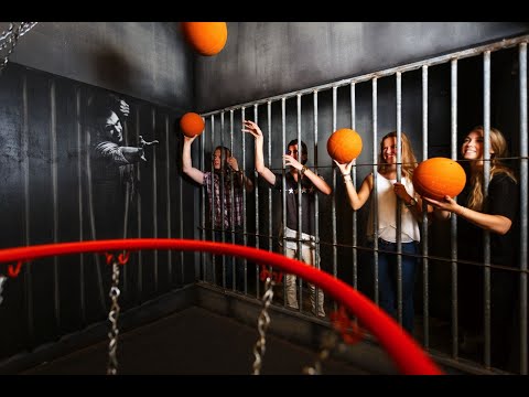 Prison Island Activity Video