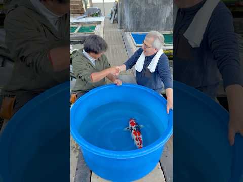 Video Vorschau in Japan