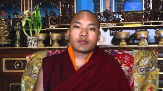 His Holiness Karmapa New Year Message - 2011 - English