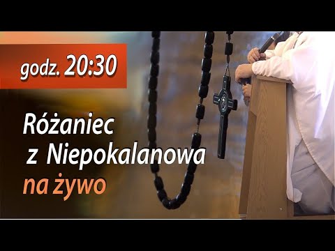 11.08 g.20:30 Różaniec z Niepokalanowa na żywo | NIEPOKALANÓW – kaplica św. Maksymiliana