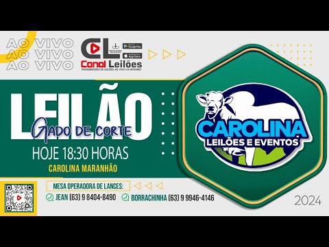 Canalleiloes.com | LEILÃO GADO DE CORTE CAROLINA LEILÕES - CAROLINA-MA - 18/04/2024