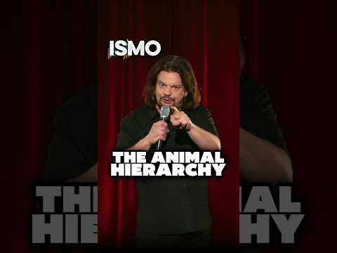 ISMO | The Animal Hierarchy