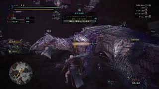 ミラボレアスソロで行けと言われたので行ってきました[アイスボーン]