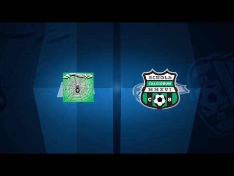 Ragnatela '96 6-1 Schola Calciorum | Serie B Stella Azzurra - 2ª | Highlights