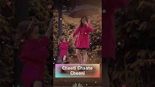 Download lagu Chanda chamke cham cham hindi whatsapp status video song 2020 lyrecs video song mp3