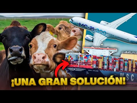 🐮🚛 Como transportar Vacas 🐄 🚚