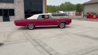 1967 Plymouth Sport Fury Convertible Driving