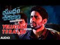 Yelugula Teraley Full Song Yuddham Sharanam Songs Naga Chaitanya Lavanya Tripathi Srikanth